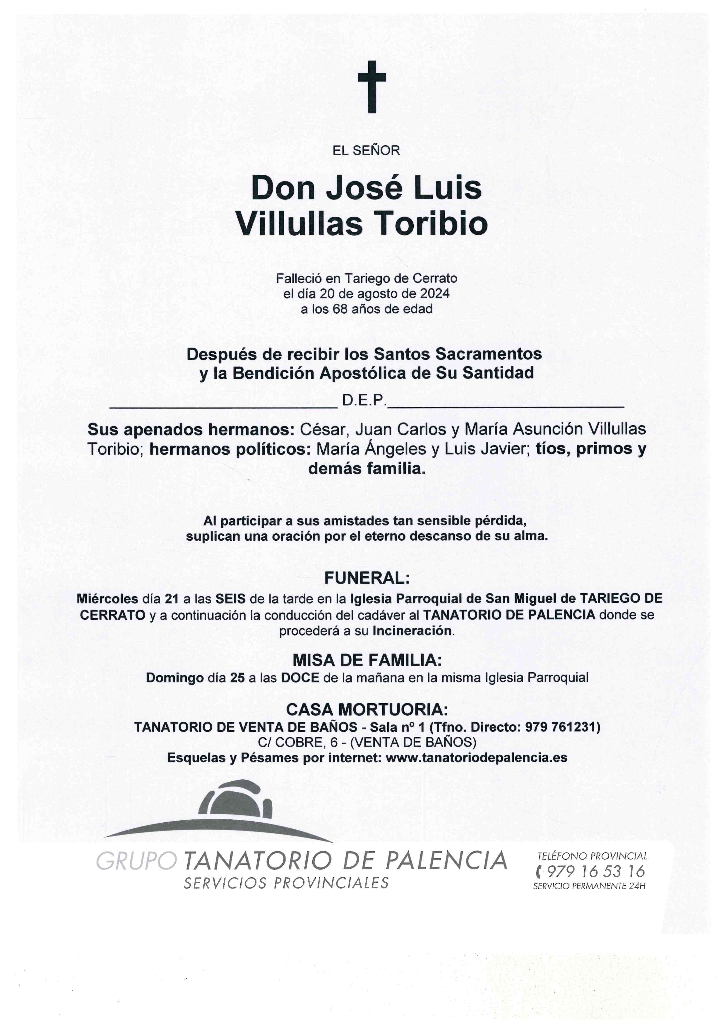 EL SEÑOR DON JOSÉ LUIS VILLULLAS TORIBIO